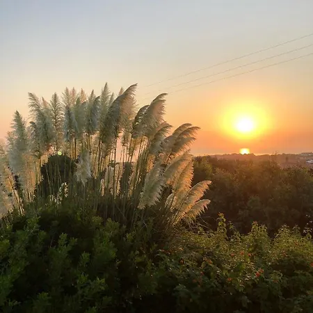 Amaremare Frühstückspension Stintino