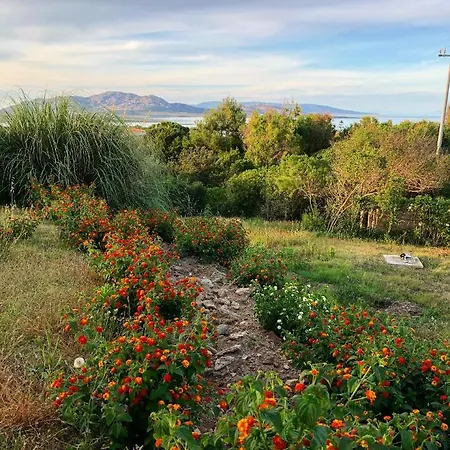 Bed & Breakfast Amaremare Stintino