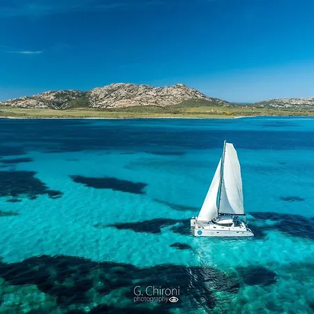 Amaremare *